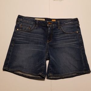 Pilcro & Letterpress Fit/ Stet Sz 28